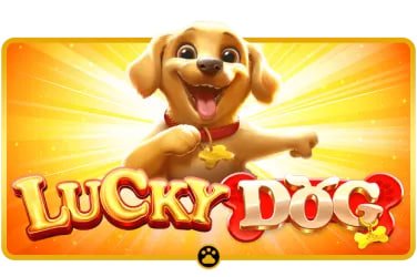 bd22 sports and casino-style entertainment content on a dark screen